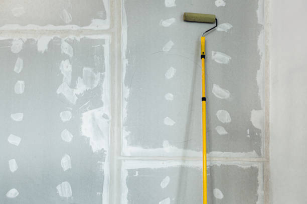 Best Black Mold Removal  in Linden, AL