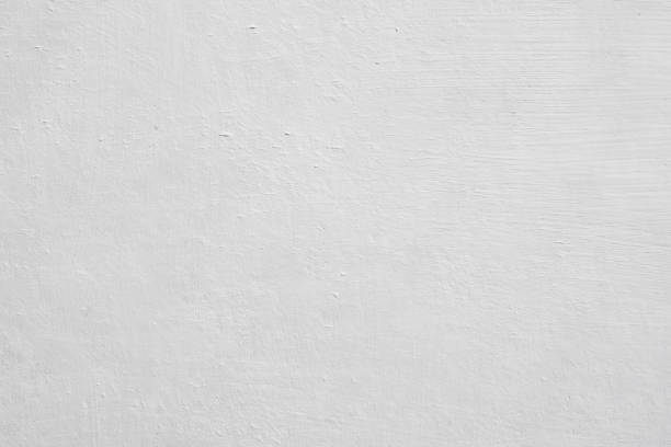Reliable Linden, AL Mold Removal Solutions