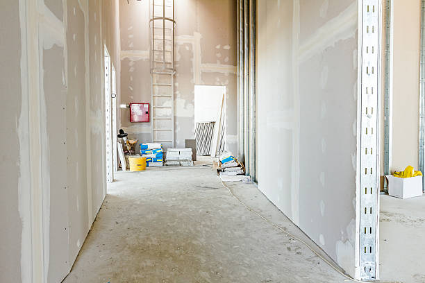 Best Dehumidification Services  in Linden, AL